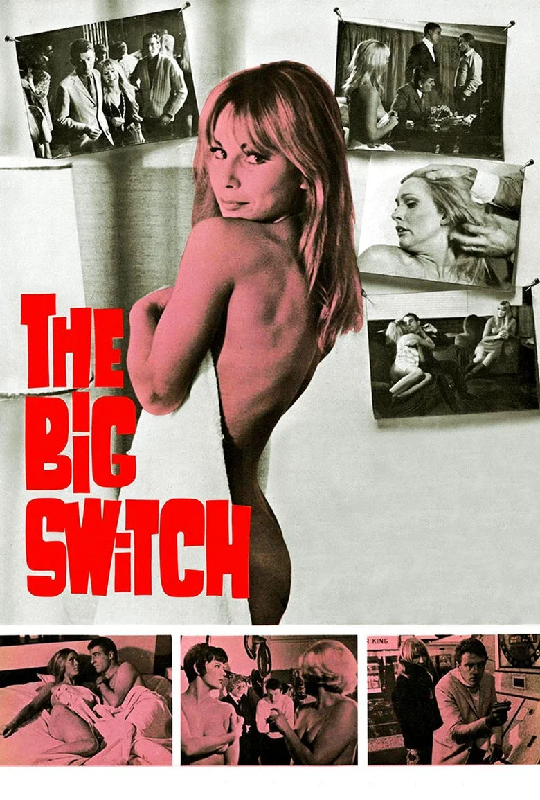 Capa de The Big Switch