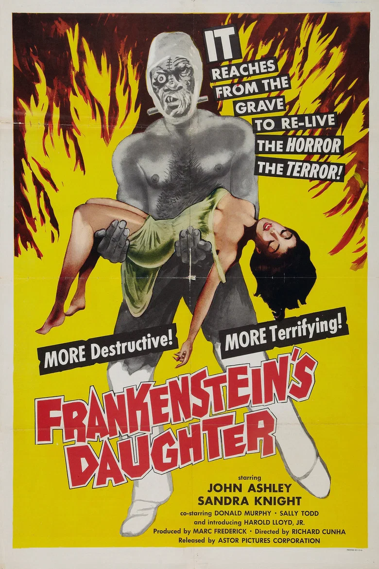 Capa de A filha de frankenstein