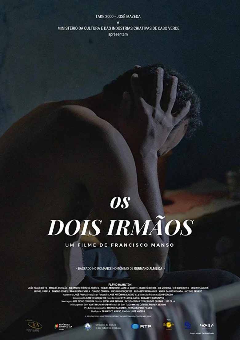 Capa de Os Dois Irmãos