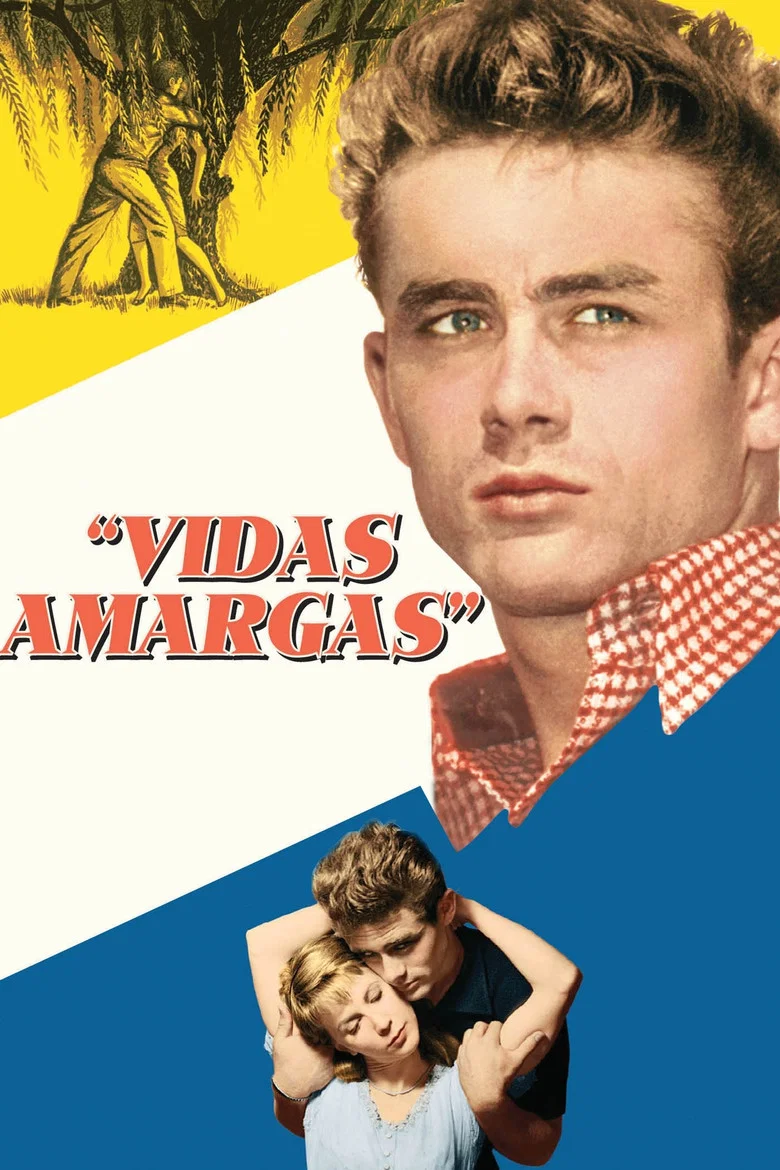 Capa de Vidas Amargas
