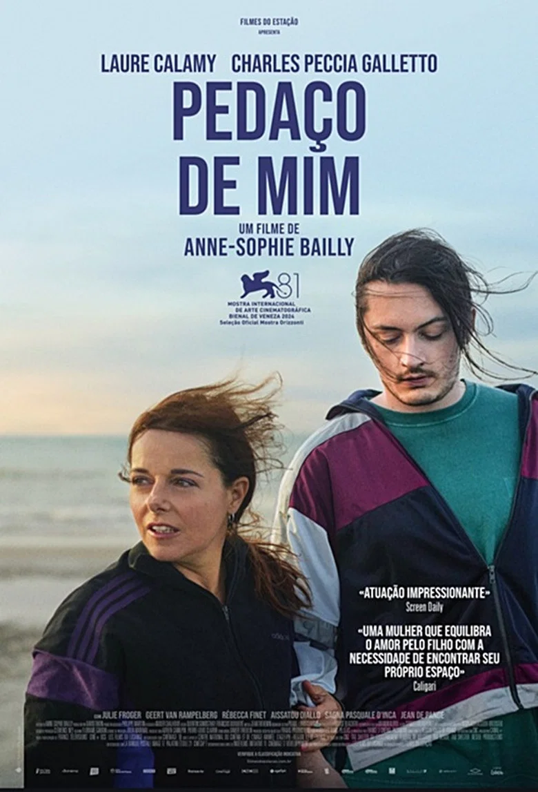 Capa de Pedaço de Mim