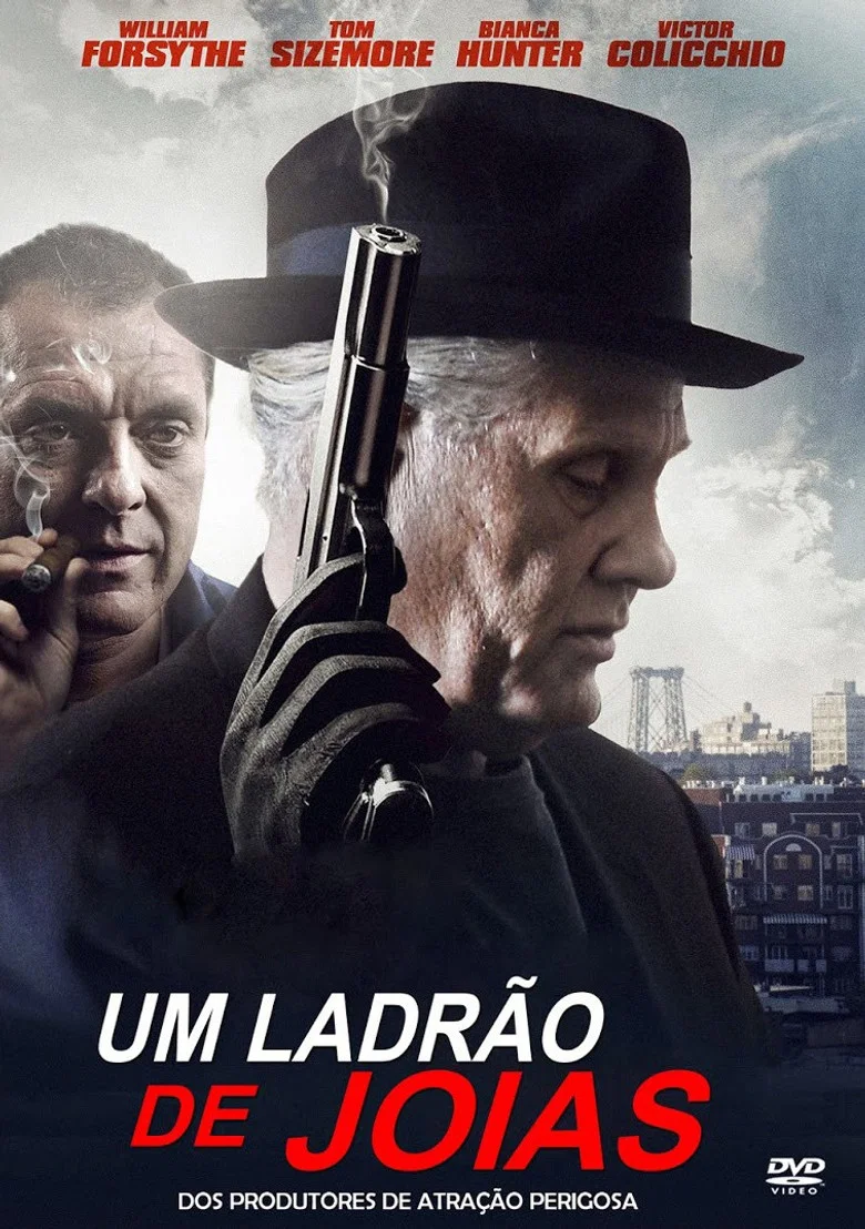 Capa de Um Ladrão de Jóias