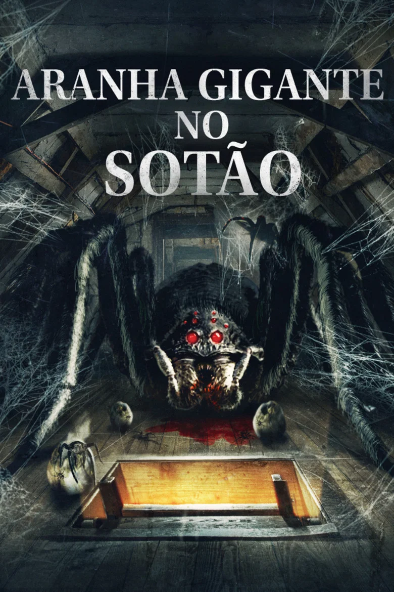 Capa de Aranha gigante no sótão