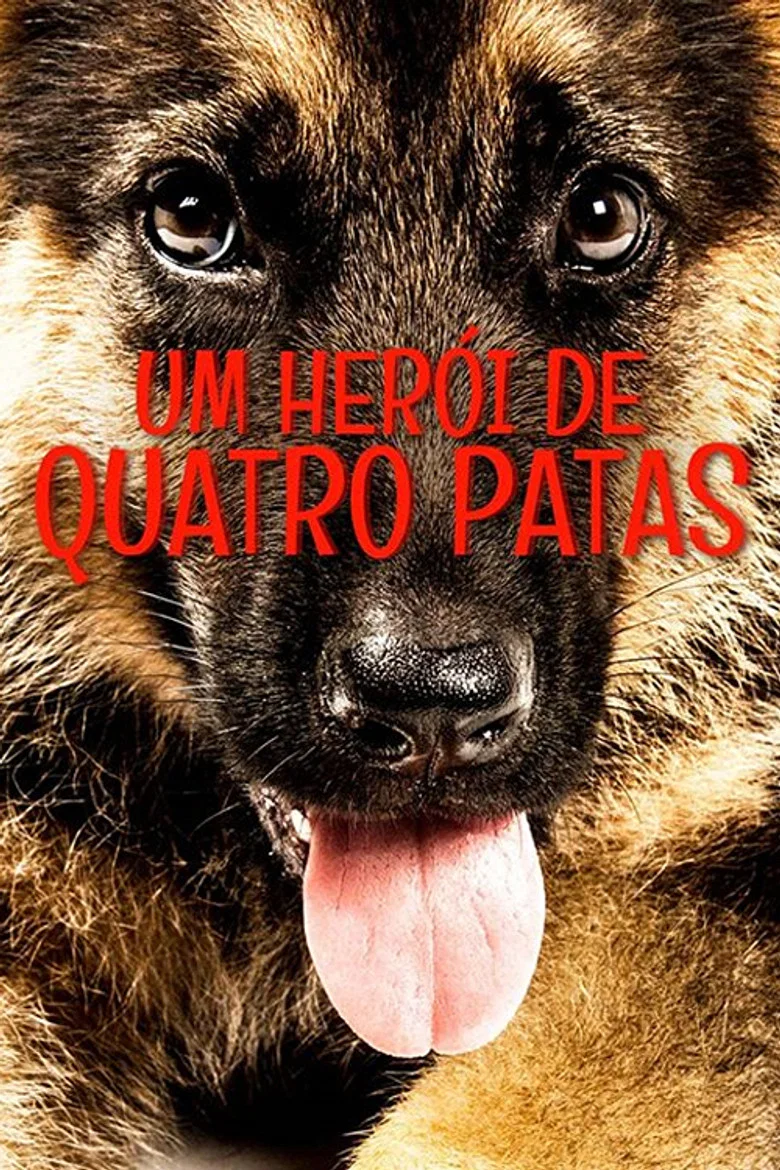Capa de Um Herói de Quatro Patas
