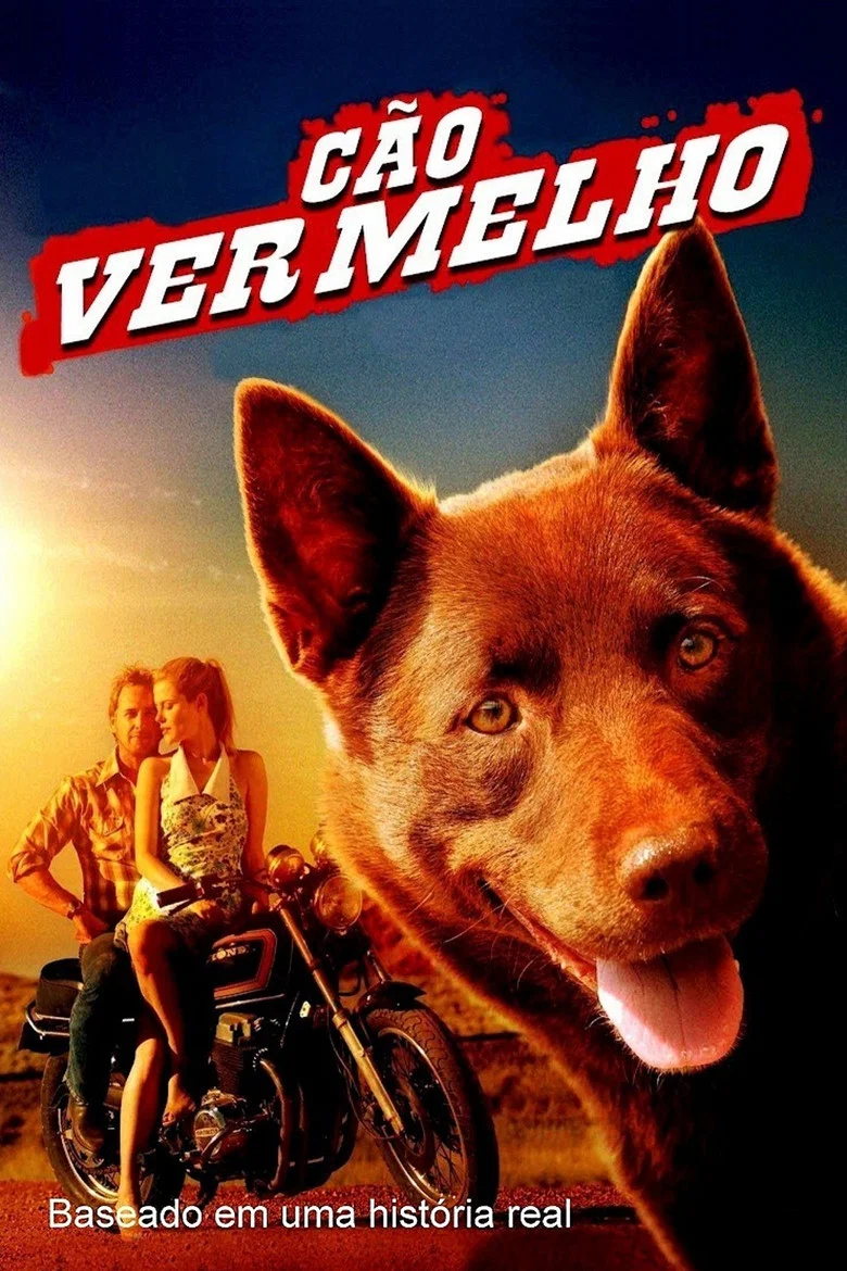 Capa de Cão vermelho