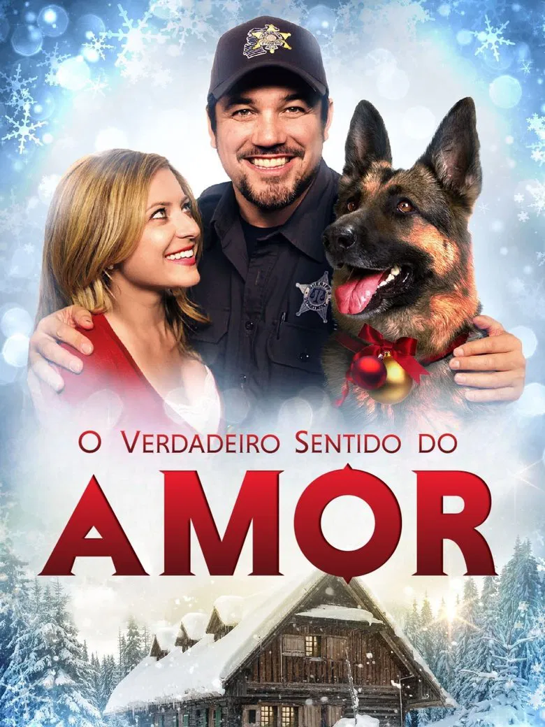 Capa de O verdadeiro sentido do amor