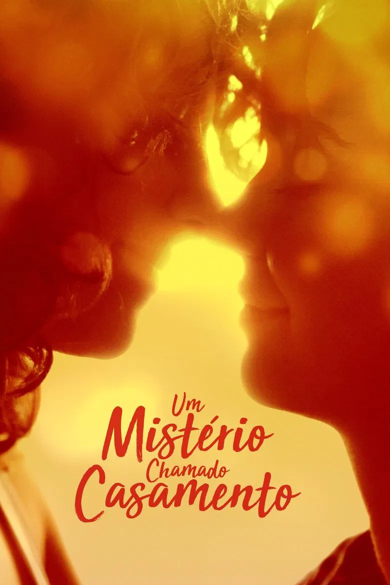 Capa de Um Mistério Chamado Casamento