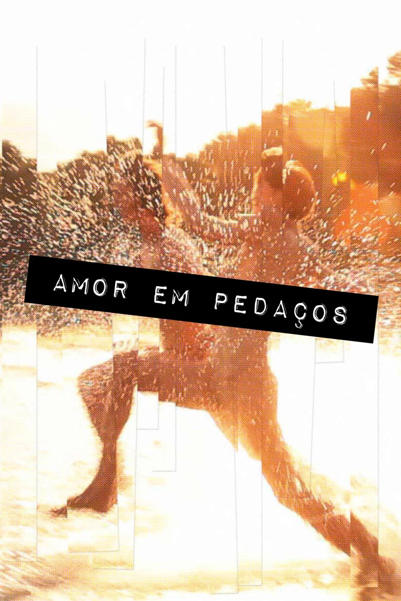 Capa de Amor em Pedaços
