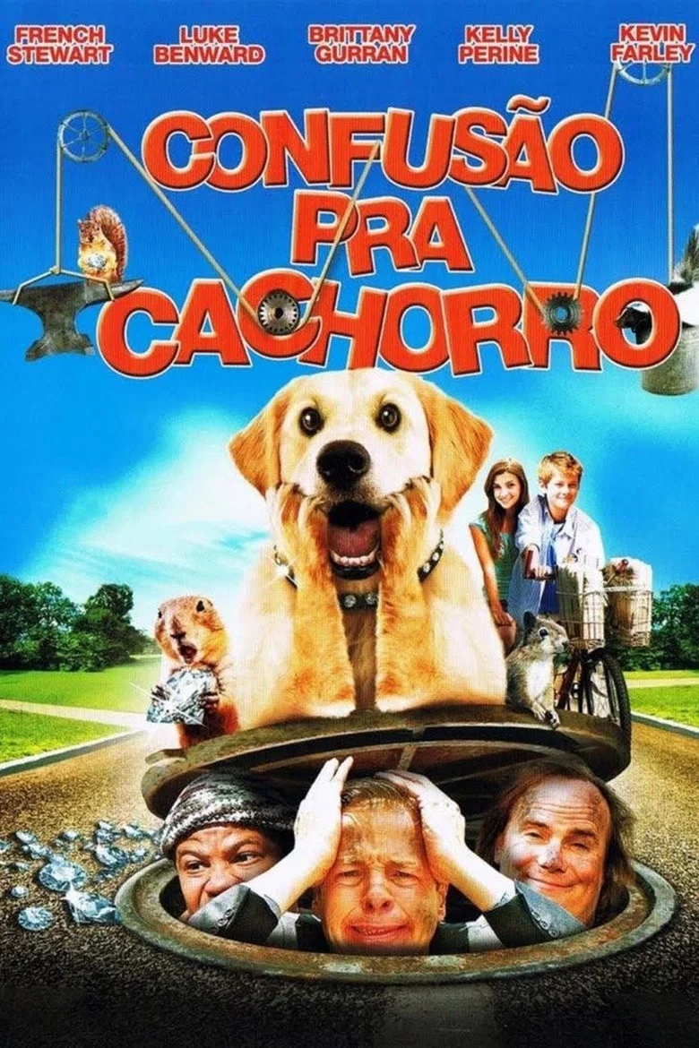Capa de Confusão pra cachorro