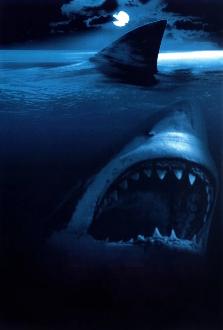 Capa de Shark attack