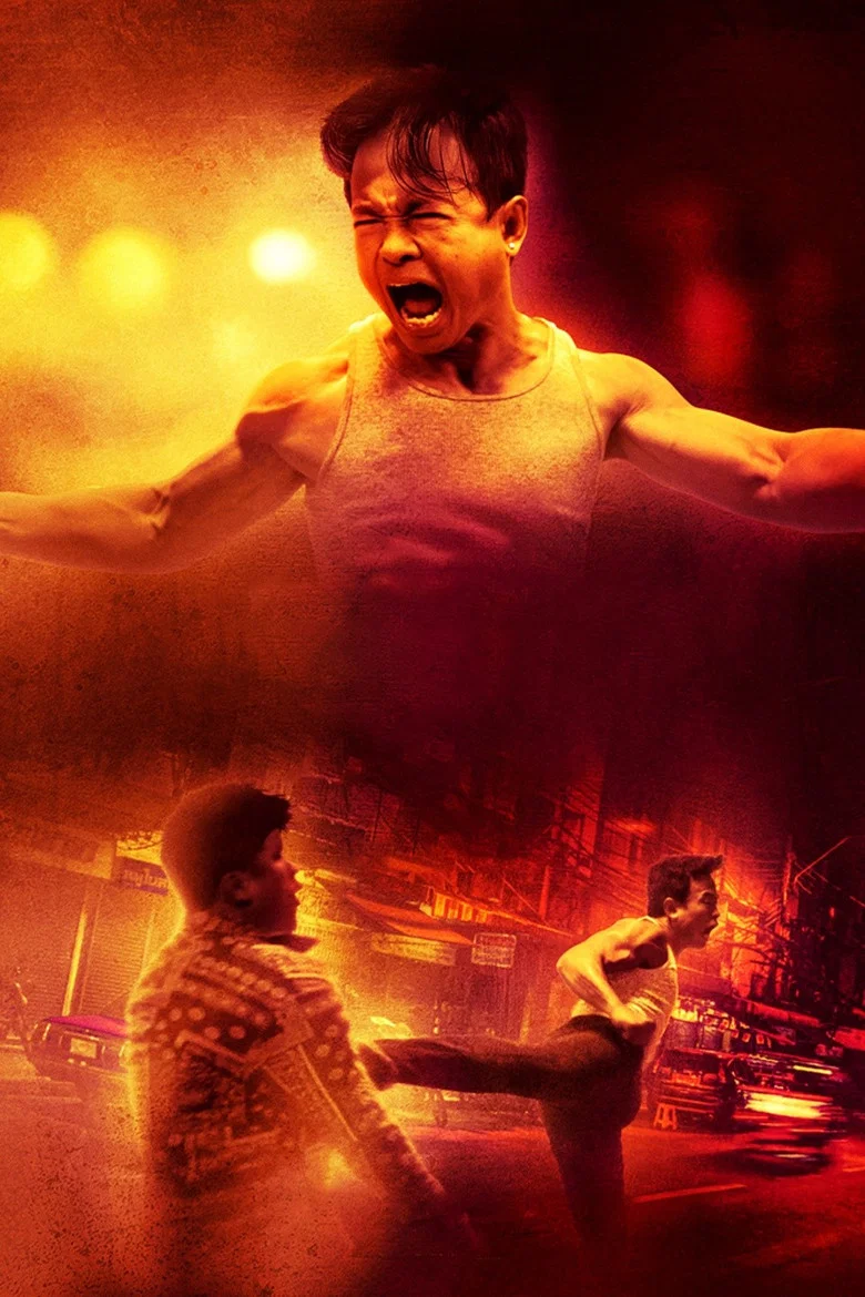 Capa de Artes Marciais em Ação