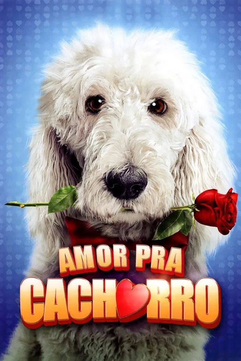 Capa de Amor pra cachorro