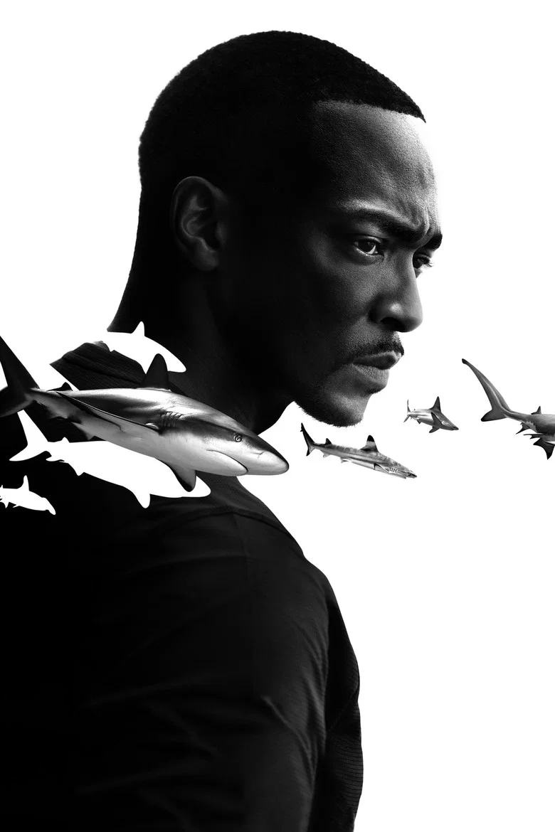 Capa de Shark Beach with Anthony Mackie