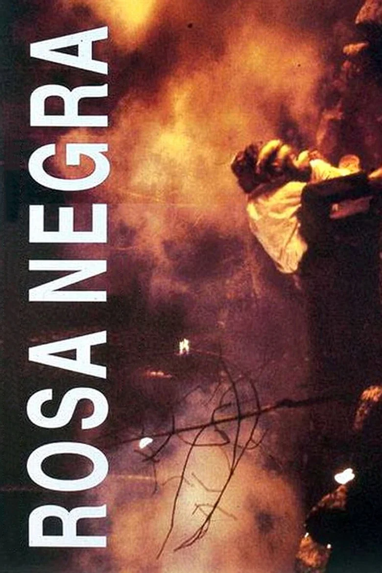 Capa de Rosa Negra