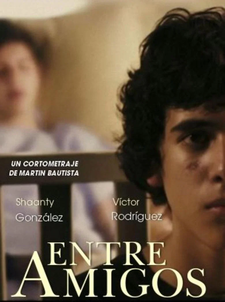 Capa de Entre amigos