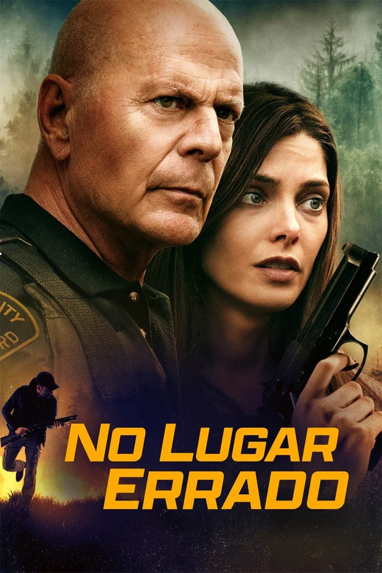 Capa de No lugar errado