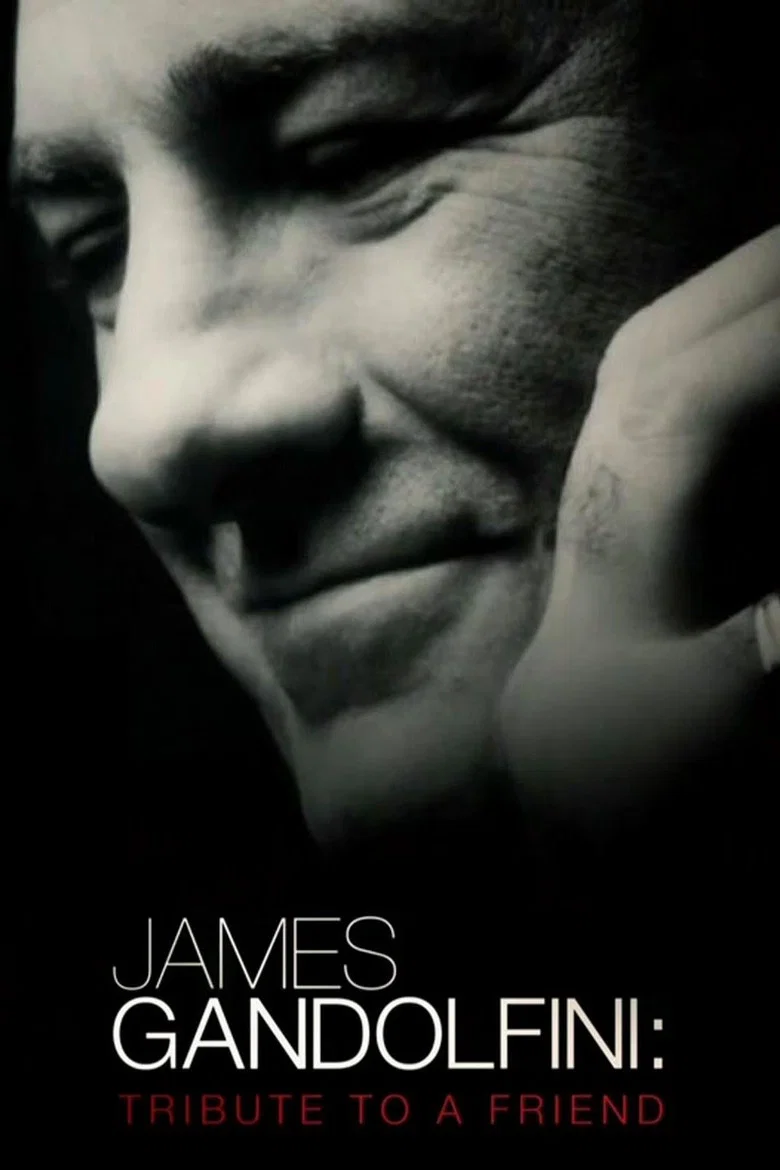 Capa de James Gandolfini: Tribute to a Friend